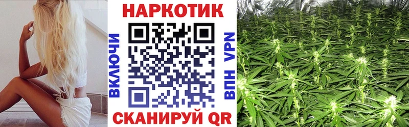 Виды наркотиков купить Городец АМФЕТАМИН  А ПВП  МЕТАМФЕТАМИН  МЕФ  КОКАИН  ГАШИШ  Галлюциногенные грибы 