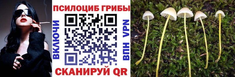 Галлюциногенные грибы Psilocybine cubensis  где купить наркотик  Городец 